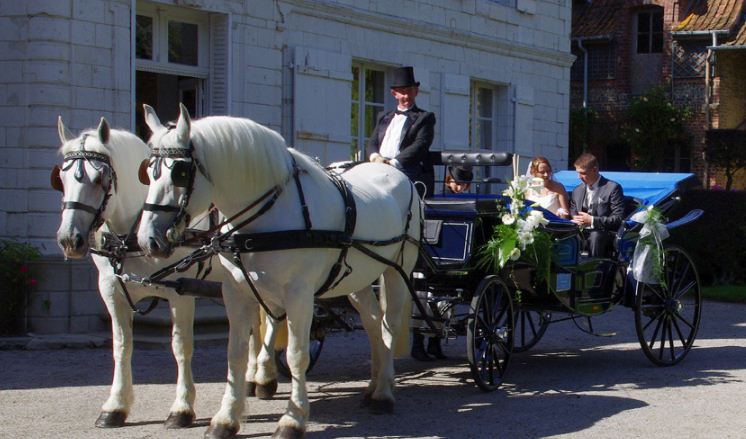 Location de calèche, cérémonie, mariage